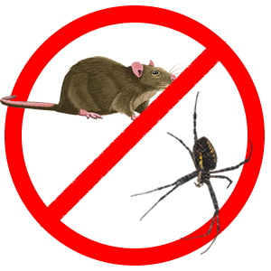 PestControl_Mice_Spiders.png