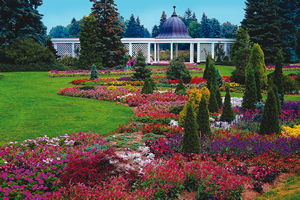 garden_flowers.png
